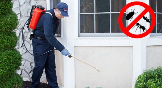 Elmalı Karınca İlaçlama böcek ilaçlama ve haşere kontrolü — ilaclama-tr.com